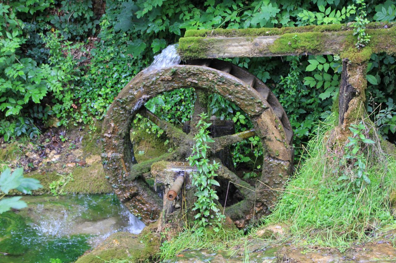 Hotel Garni Regina Gössweinstein Esterno foto